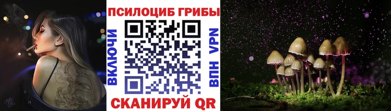 Купить  Осташков  Псилоцибиновые грибы ЛСД 