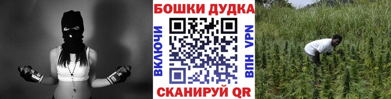 Канабис сатива  Купить  Осташков 